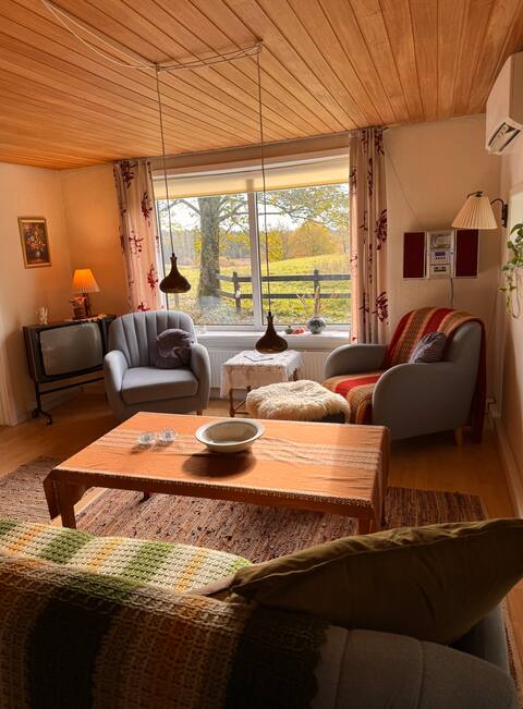 Popular Airbnb listing: House in the country - The Retro House in Viborg