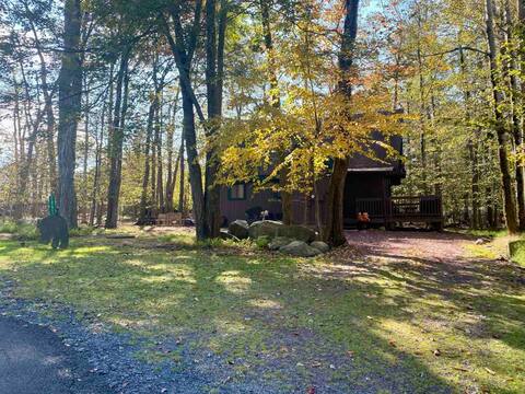 🐻The Poconos Rustic Cozy Bear Chalet Pet-Friendly