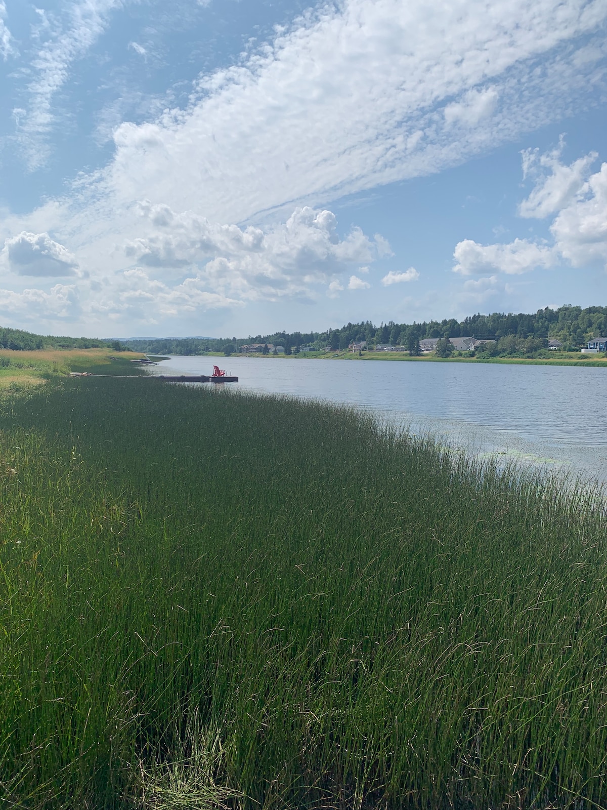 The wide Humber River is bordered by lush green grass, creating a serene natural setting. A figure can be seen on a small dock, emphasizing the peacefulness of the area. The sky is filled with fluffy clouds, reflecting a calm day by the water.