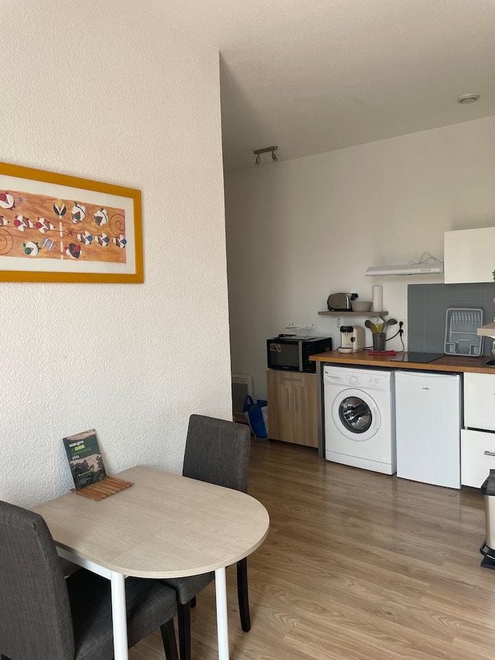 Studio Lumineux Avec Parking Face Thermes - Salies-de-Béarn
