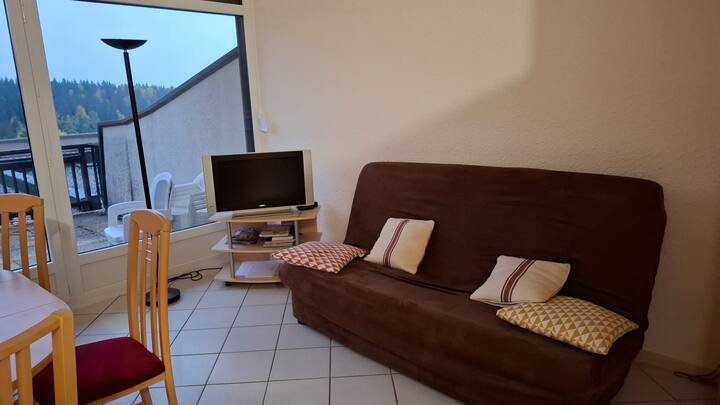 Grand Studio Avec Terrasse - Villard-de-Lans