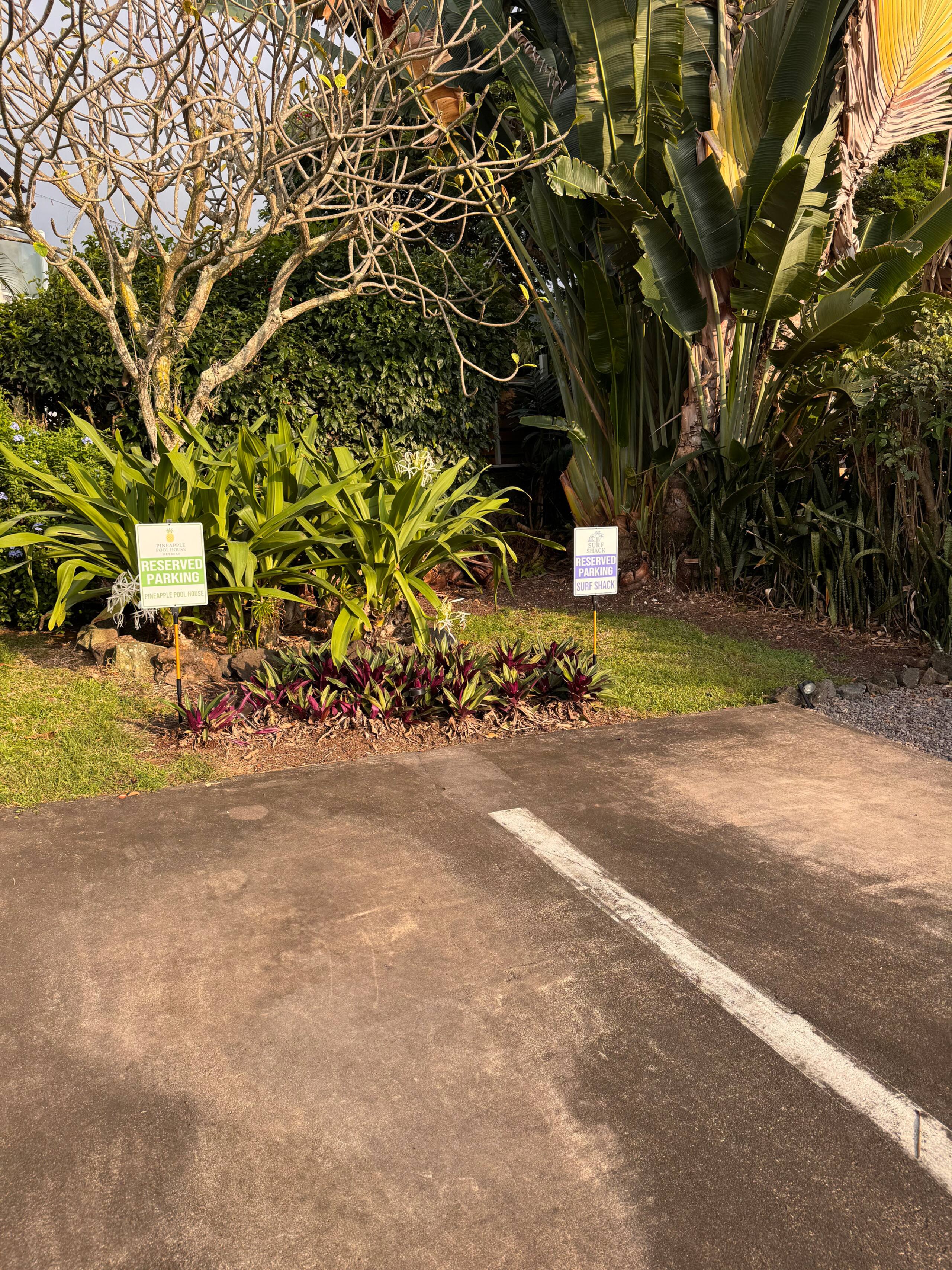 Home in Kailua-Kona · ★4.97 · 1 bedroom · 1 bed · 1 bath - Image 18