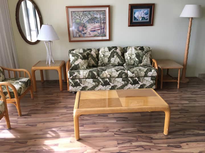 Sofá cama tamaño queen en la sala de estar