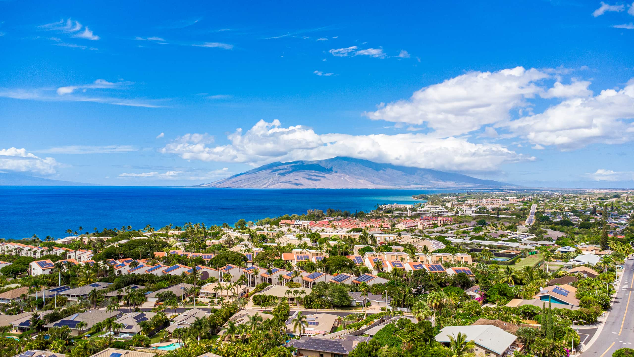 Condo in Kihei · ★4.96 · 2 bedrooms · 2 beds · 2 baths - Image 60