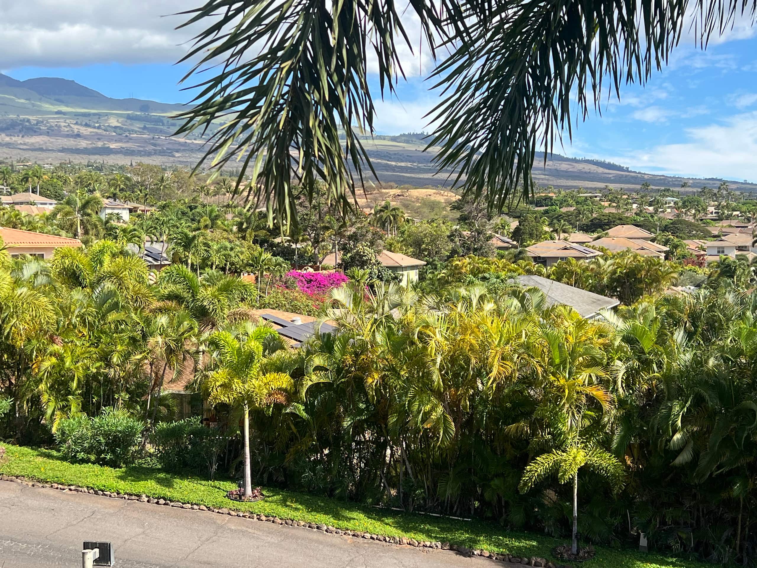 Condo in Kihei · ★4.96 · 2 bedrooms · 2 beds · 2 baths - Image 54