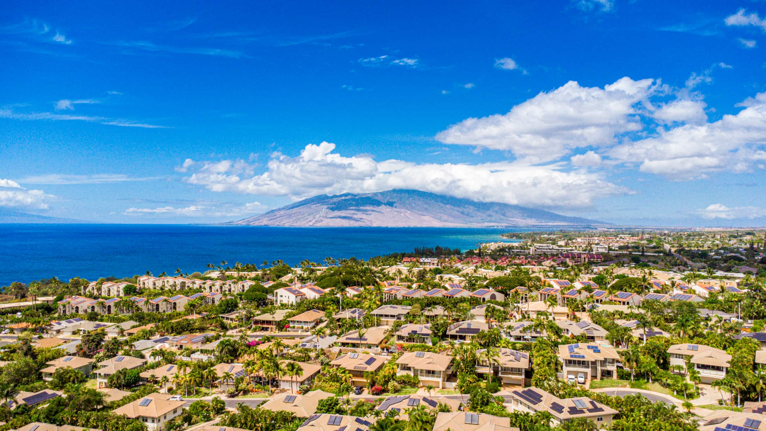 Condo in Kihei · ★4.96 · 2 bedrooms · 2 beds · 2 baths - Image 59