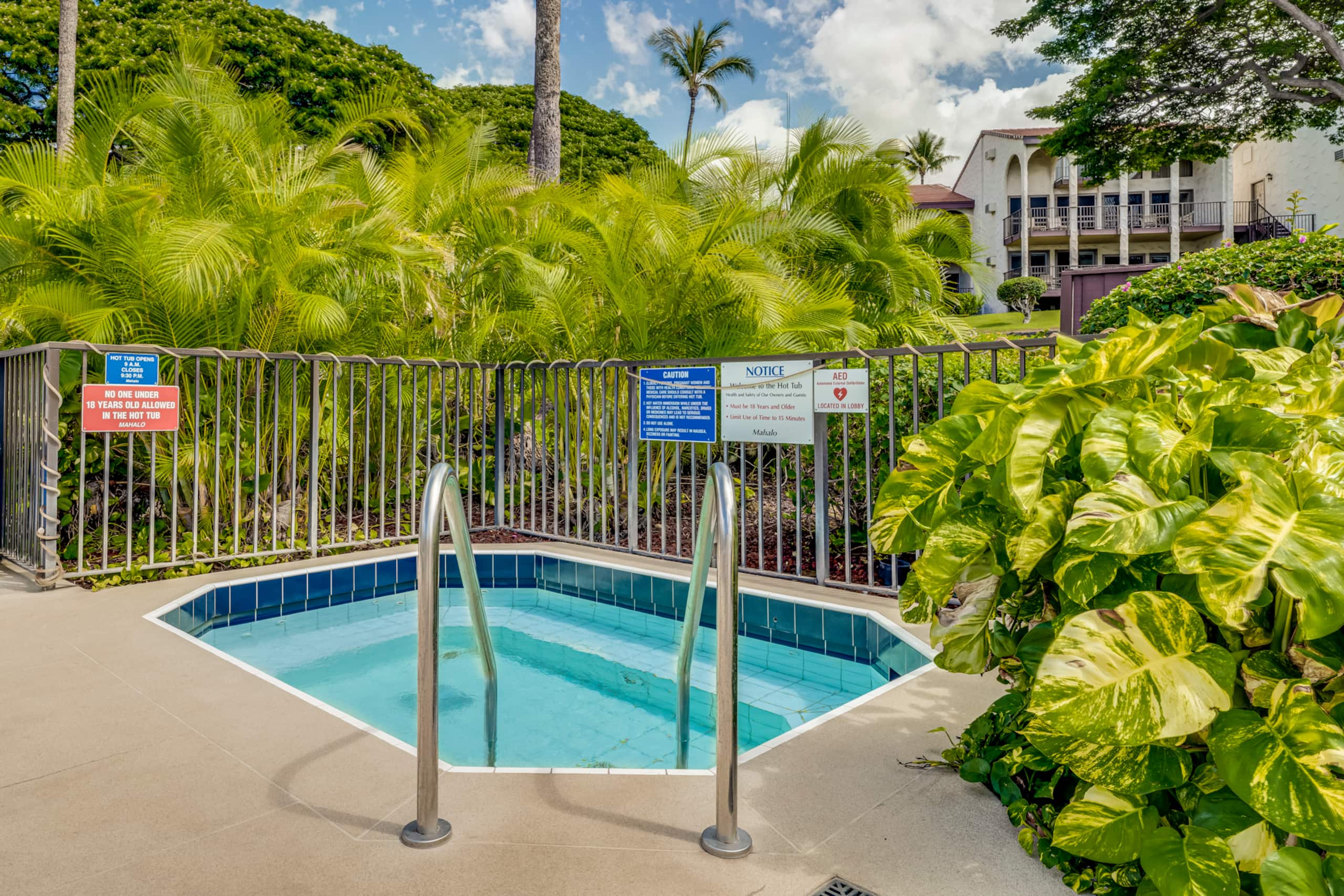 Condo in Kihei · ★4.96 · 2 bedrooms · 2 beds · 2 baths - Image 71