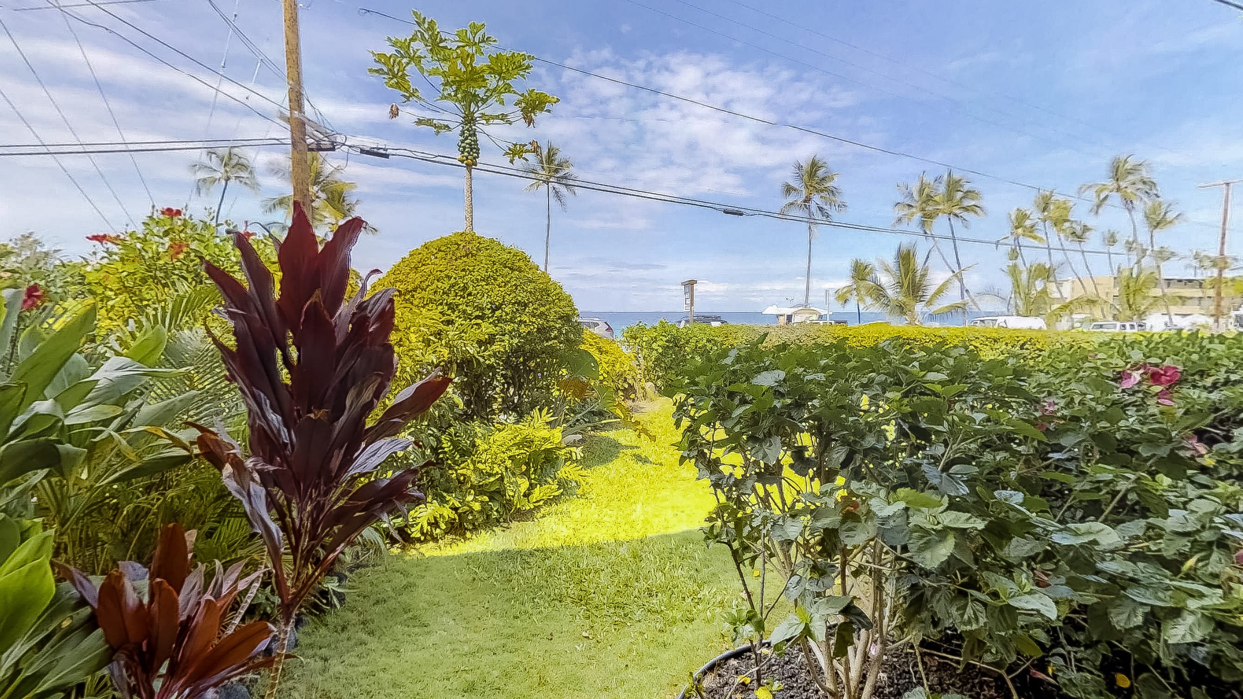 Condo in Kailua-Kona · ★4.92 · 1 bedroom · 1 bed · 1 bath - Image 5