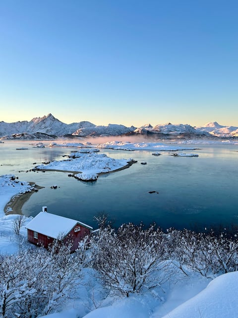 Seafront Lofoten cottage