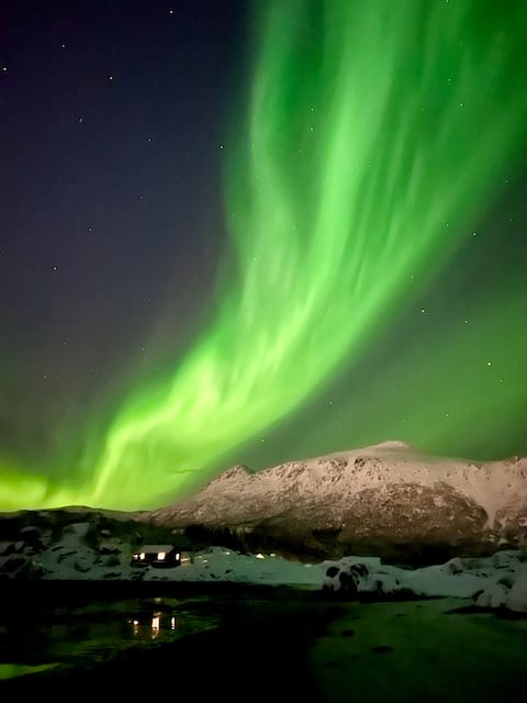 Seafront Lofoten cottage