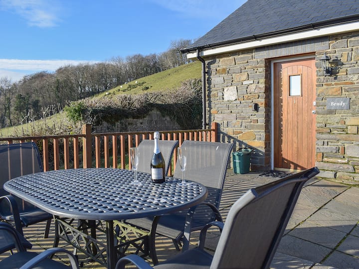 Beudy-oh2 - Aberaeron