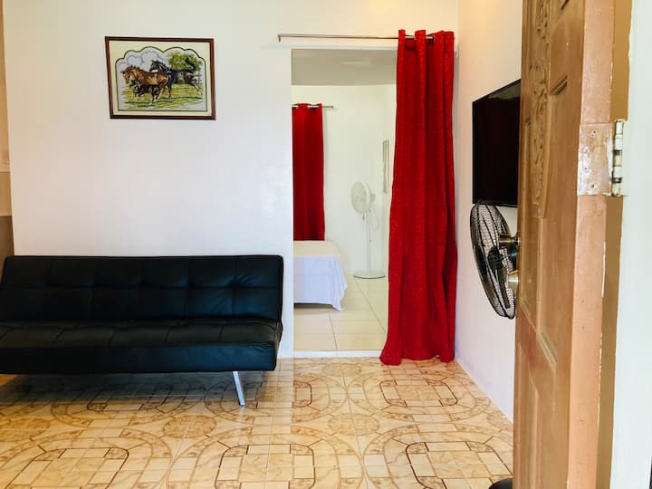 Watering Hole Apartments - Unit A: 1 Bedroom - Puerto Galera