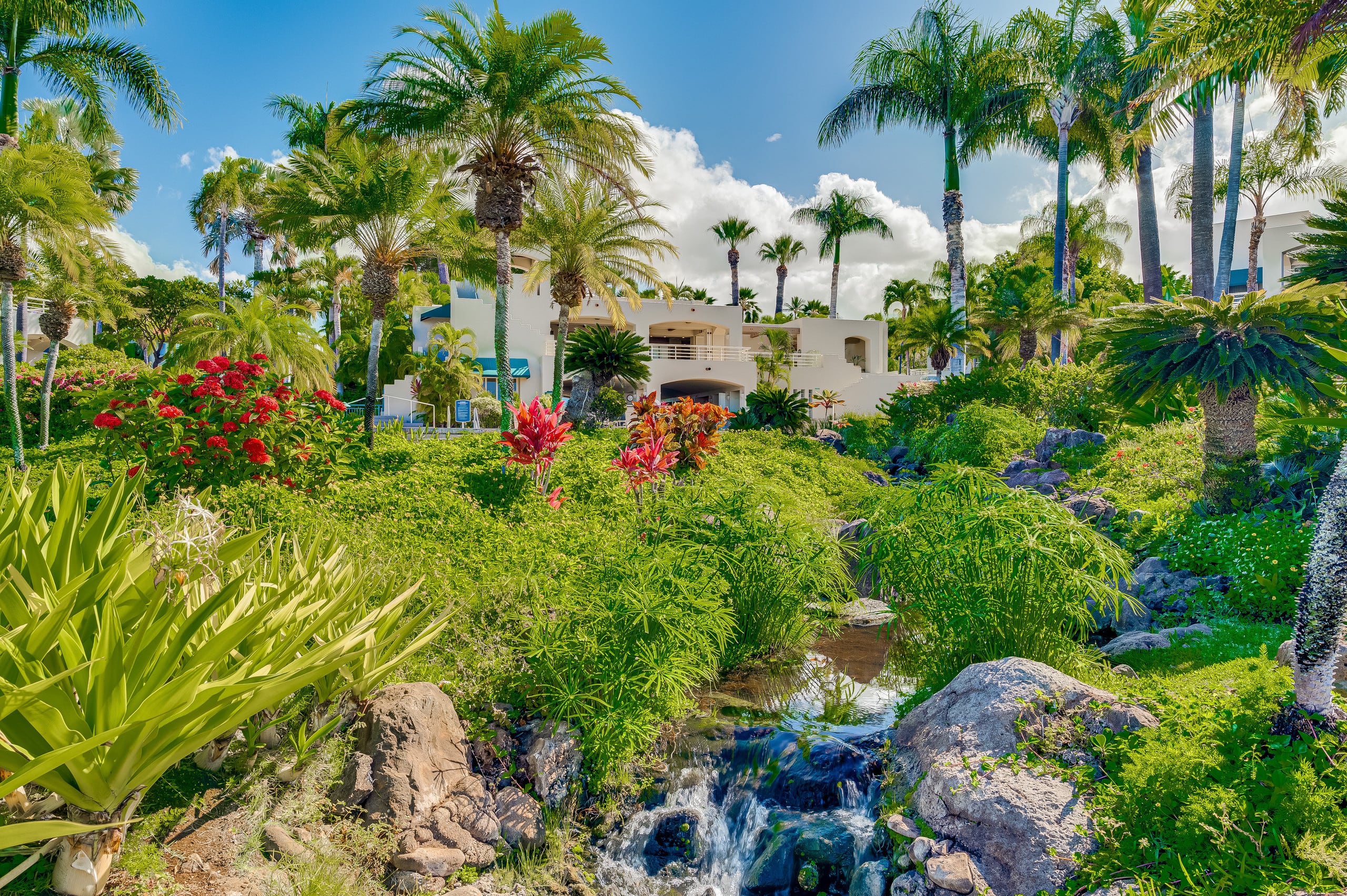 Condo in Wailea · ★4.8 · 2 bedrooms · 3 beds · 2 baths - Image 46