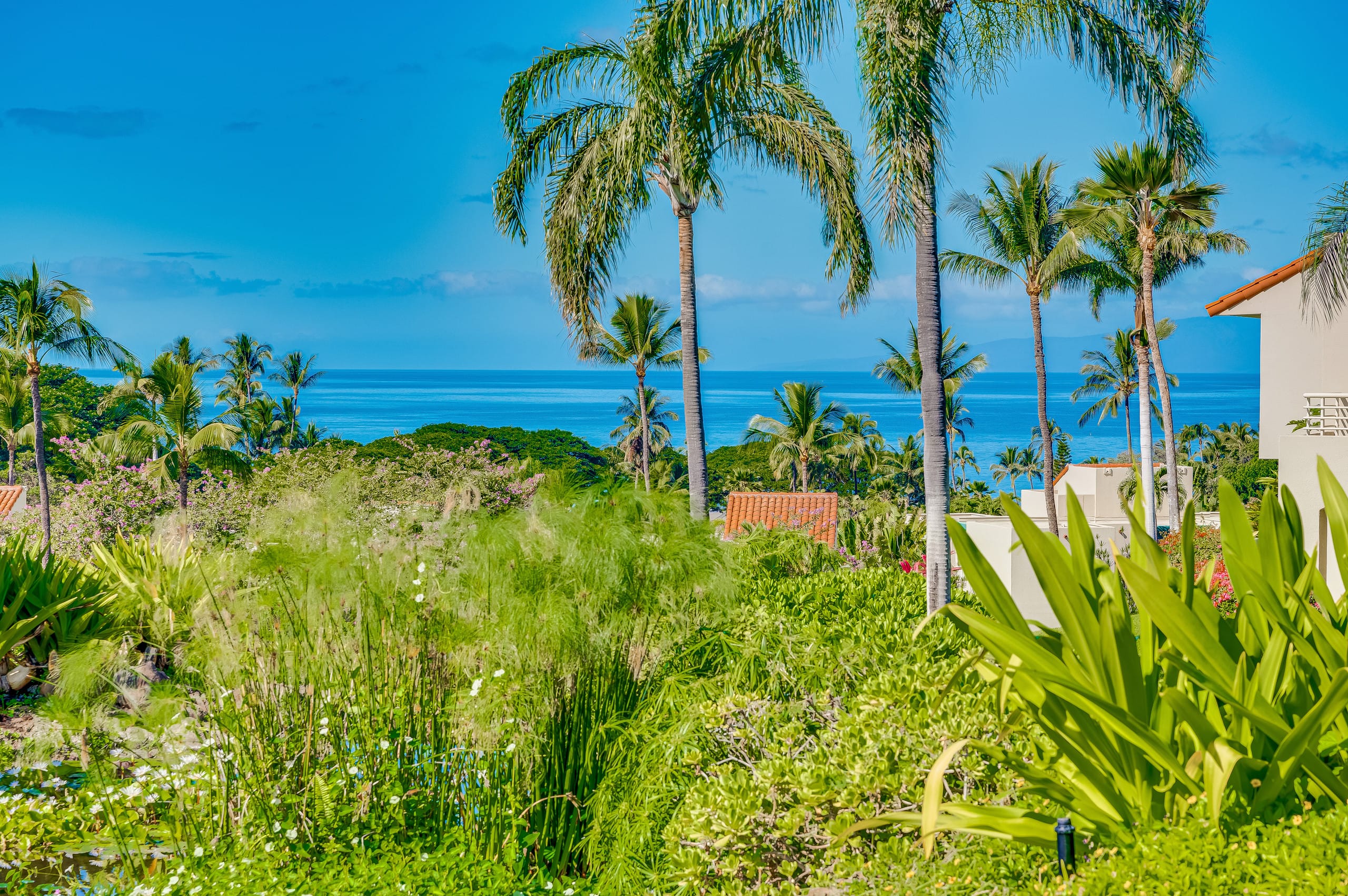 Condo in Wailea · ★4.8 · 2 bedrooms · 3 beds · 2 baths - Image 41