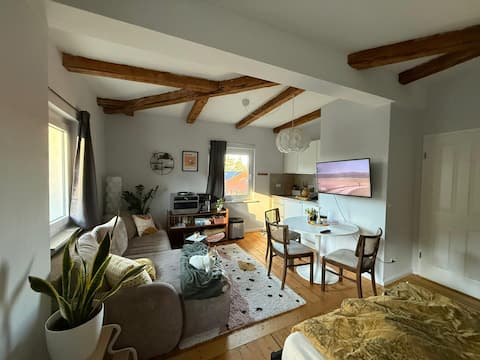Beliebte Airbnb-Anzeige: Cute apartment in a Wilhelminian-style villa in Bad Harzburg
