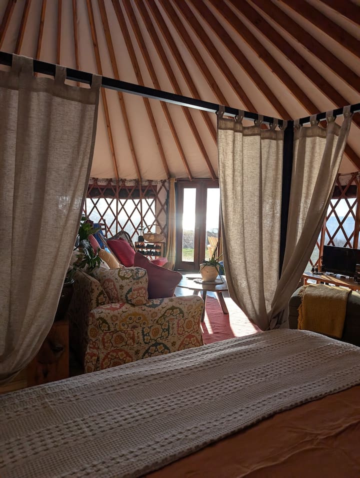 Bedroom area