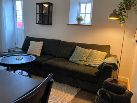 Top Airbnb: Beautiful and quiet, 10 minutes from E45 & Kolding in Kolding