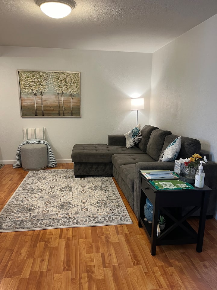 الوقوف عند المدخل. النظر إلى مساحة المعيشة. 