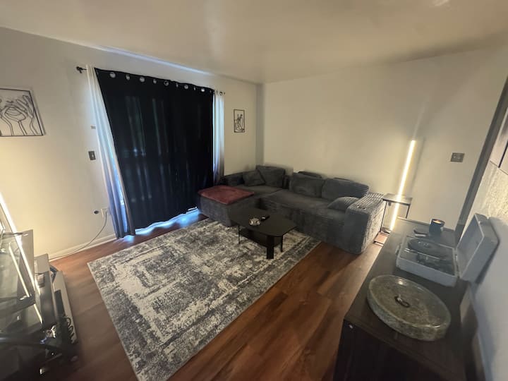 Furnished 1br Condo For Medical Students/employees - Mill Mountain Zoo, Roanoke
