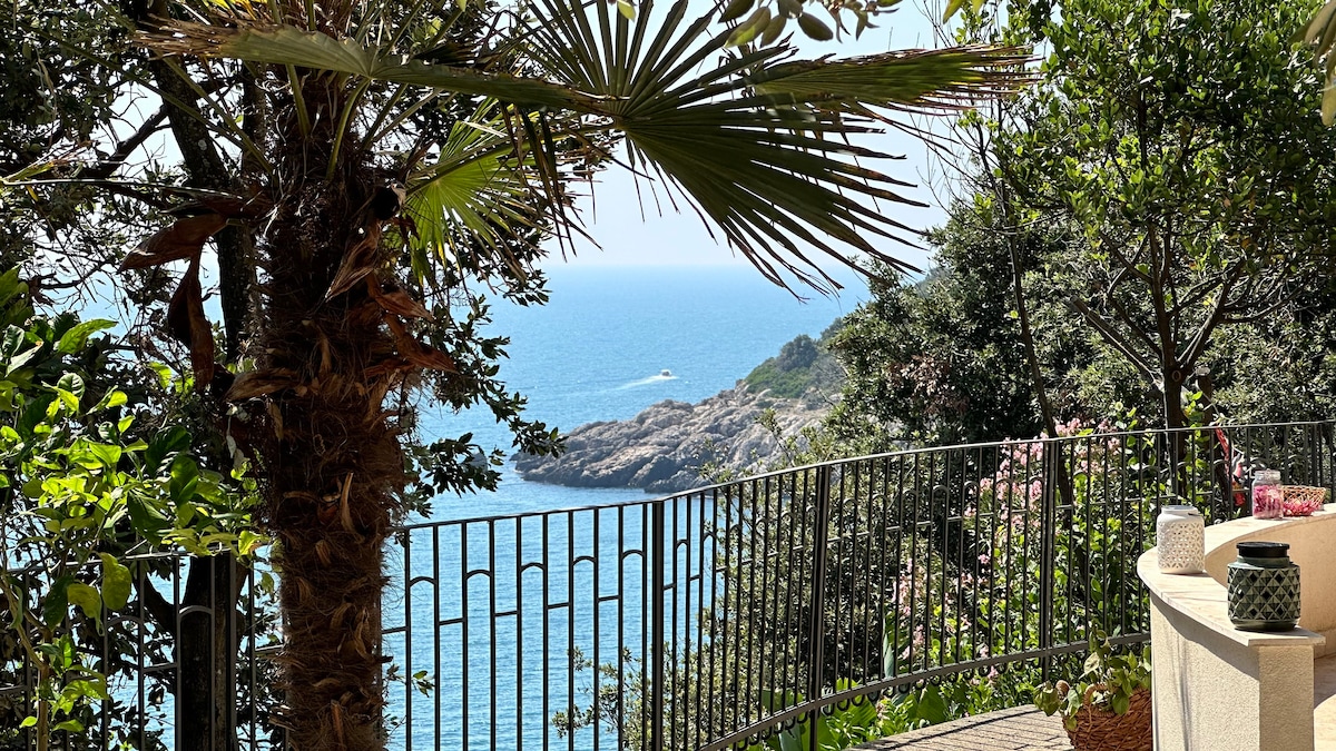 A scenic view of the coastline is visible from a balcony surrounded by lush greenery. A palm tree stands prominently, while the vast blue sea and rocky shoreline are framed by a decorative iron railing. The serene atmosphere is enhanced by the natural landscape.