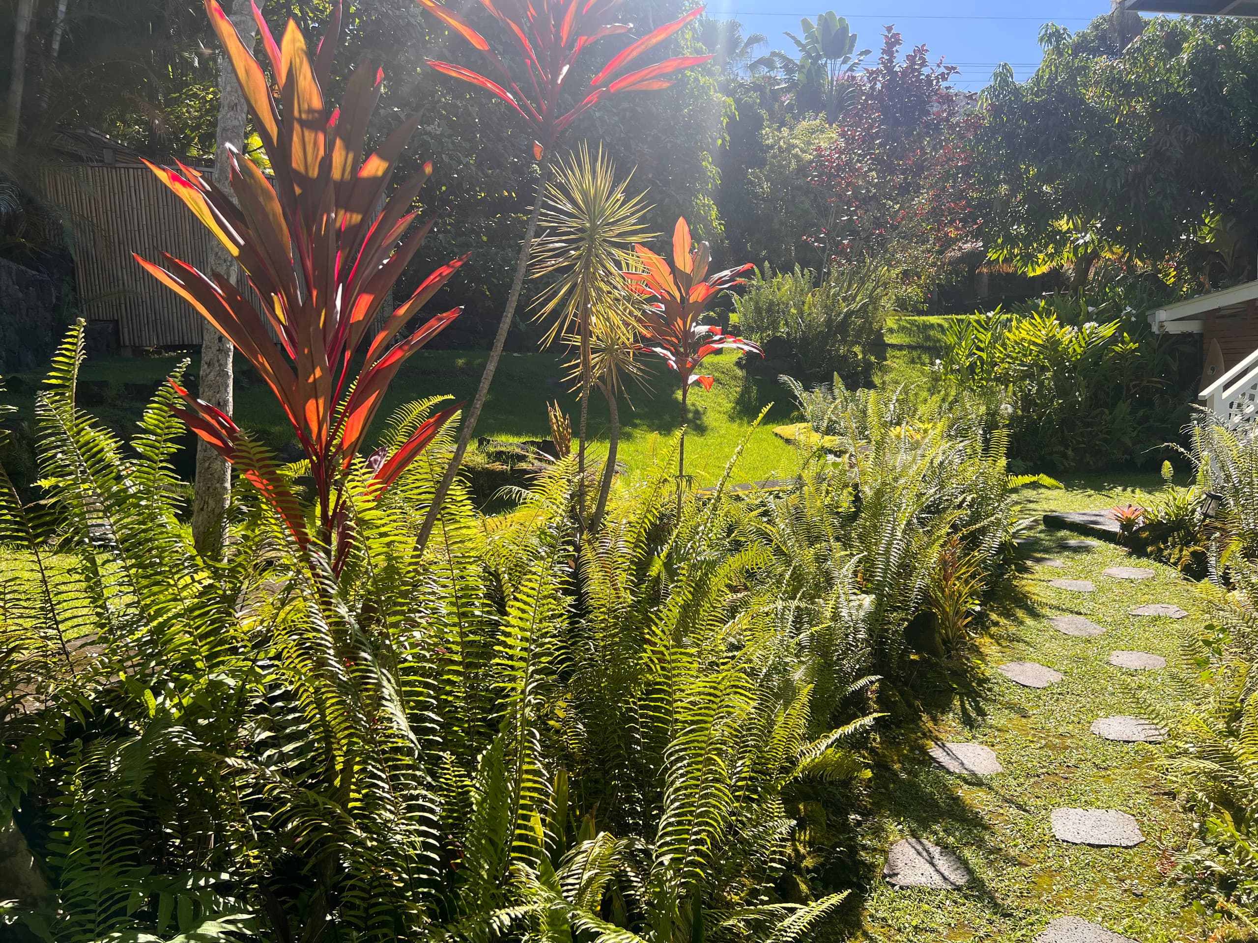 BLUE BLISS: Hip Hideaway w/Hawaiian Gardens - Image 26