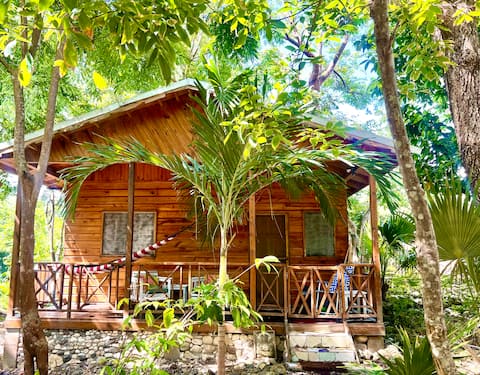 Almond cottages in Tropical and seaside garden
