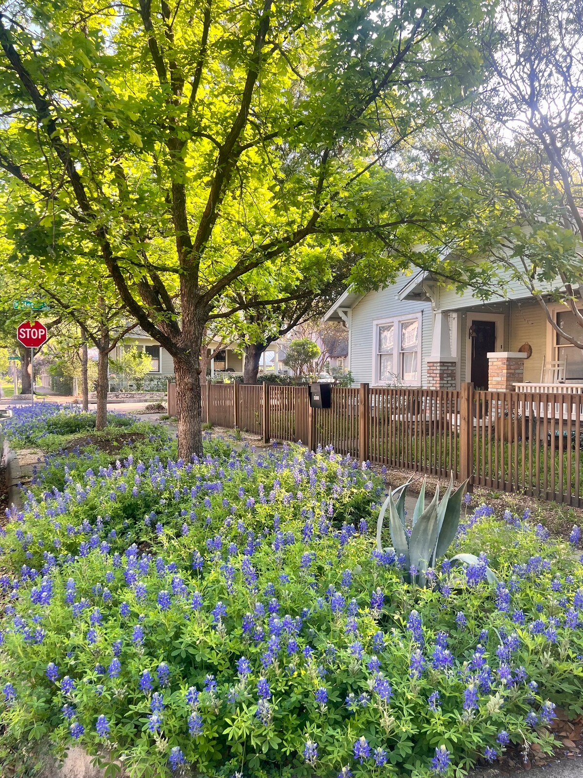 1911 Historic Hyde Park Cottage
