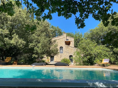 Pretty Mas with swimming pool in Provence