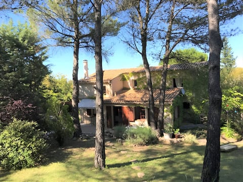 Casa-Amanda pine forest pool absolute tranquility