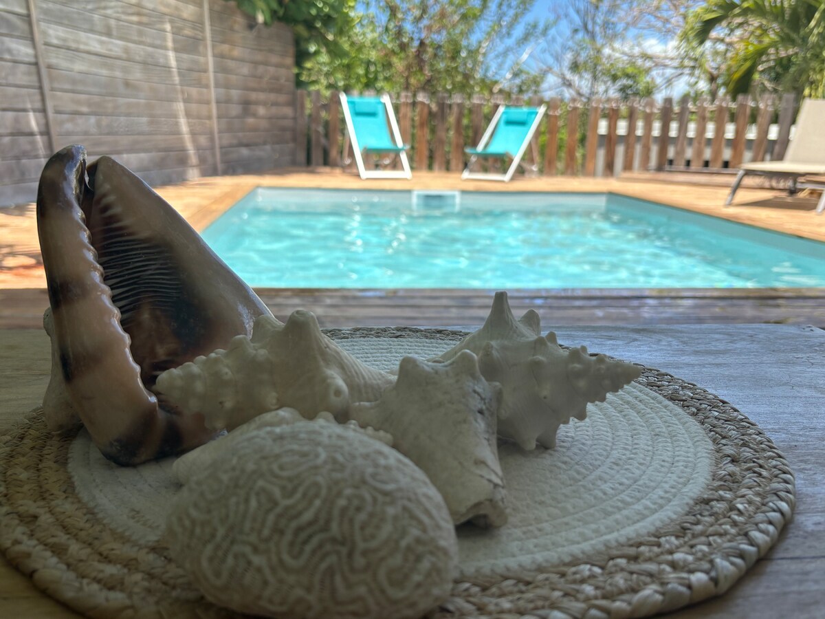 A selection of seashells is arranged on a woven mat in the foreground, with a private pool visible in the background. The turquoise water of the pool and lounge chairs can be seen surrounded by tropical greenery.