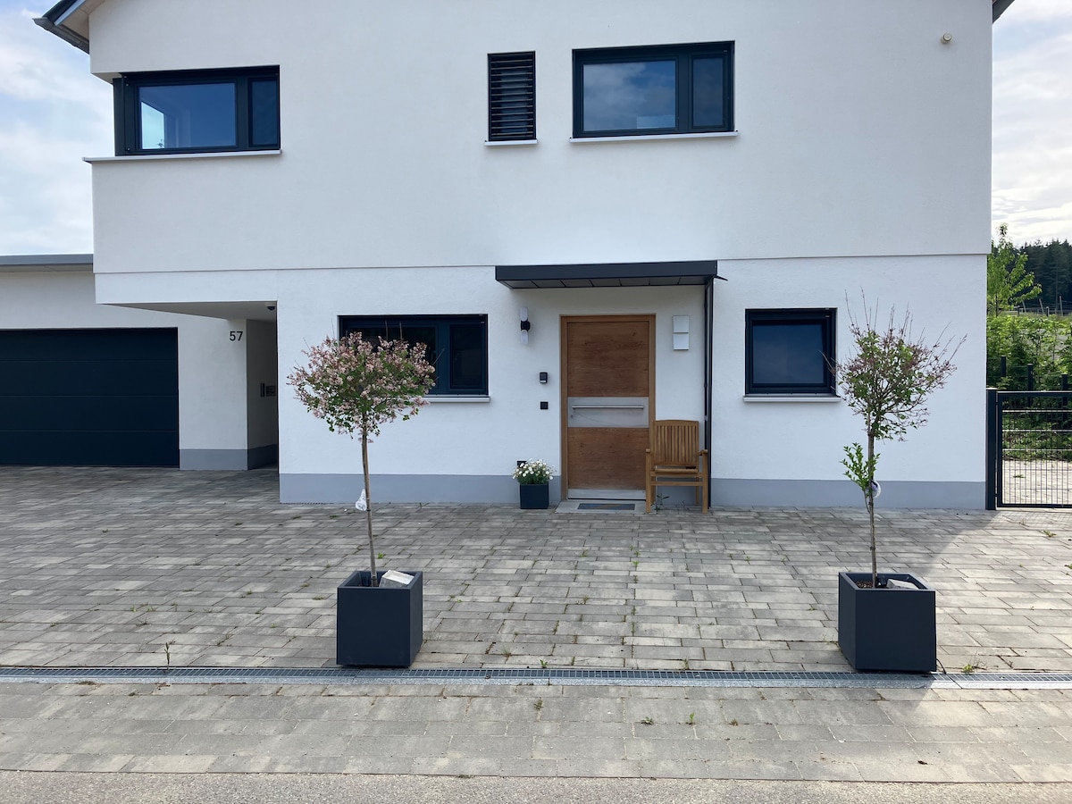 The entrance area is depicted, featuring a modern facade with large windows. Two potted plants flank the entrance, and a wooden bench is positioned nearby. The pathway is lined with uniform stone paving, leading to a front door that is both welcoming and contemporary.