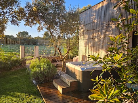 Gîte Le Puech, with spa, countryside, vineyard, rest