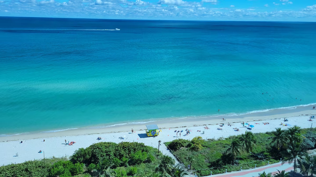Oceanfront 2 beds/Bayview with parking A16