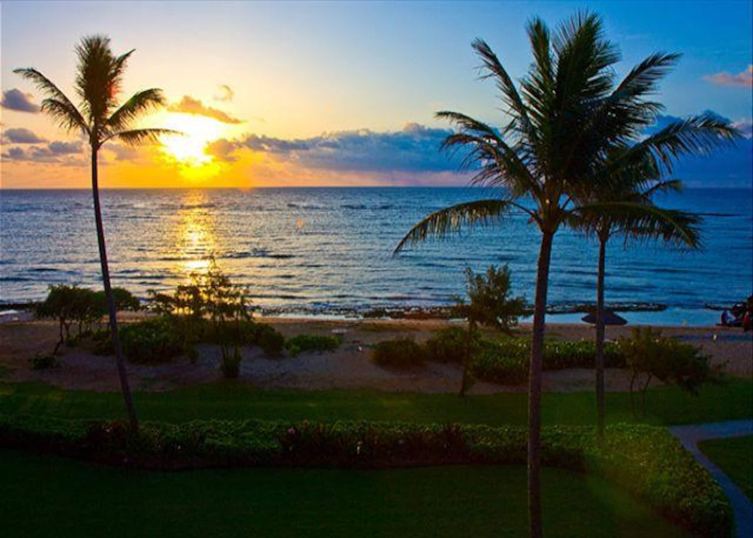Condo in Kapaa · ★4.96 · 2 bedrooms · 3 beds · 3 baths - Image 39