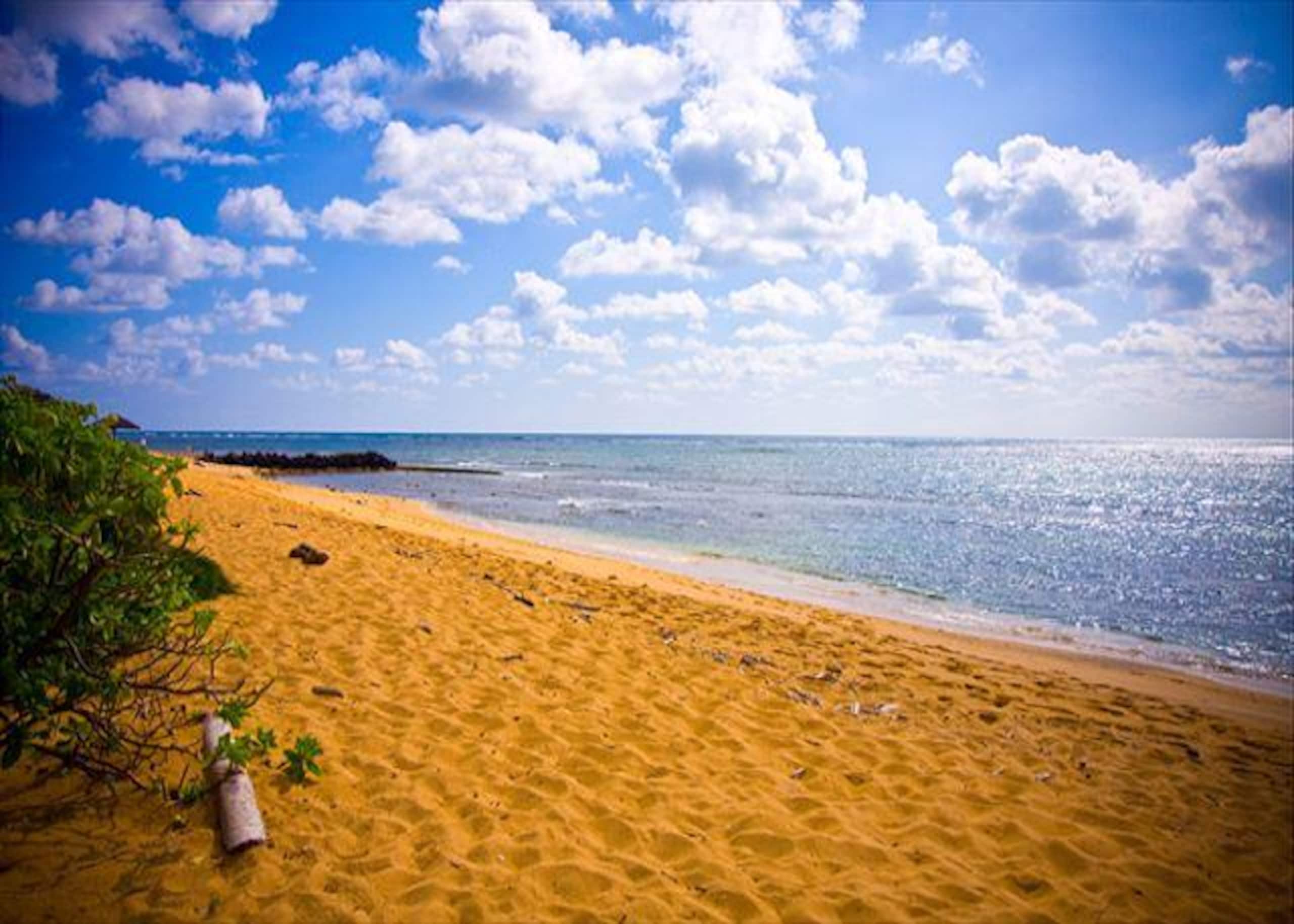 Condo in Kapaa · ★4.96 · 2 bedrooms · 3 beds · 3 baths - Image 38