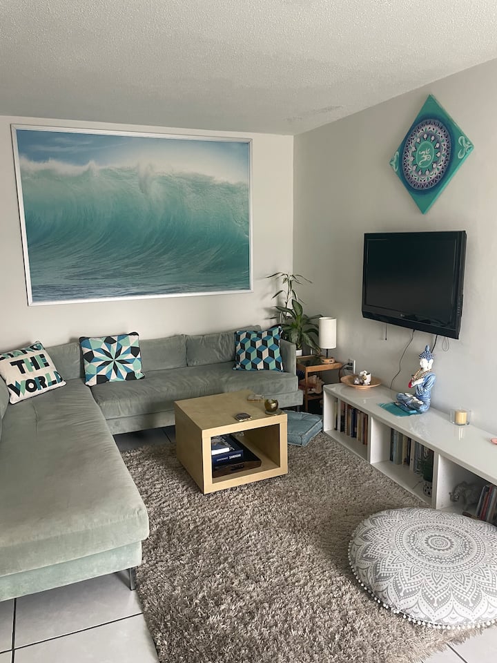 Zen Ocean Apt. In South Beach- - Miami Beach, FL