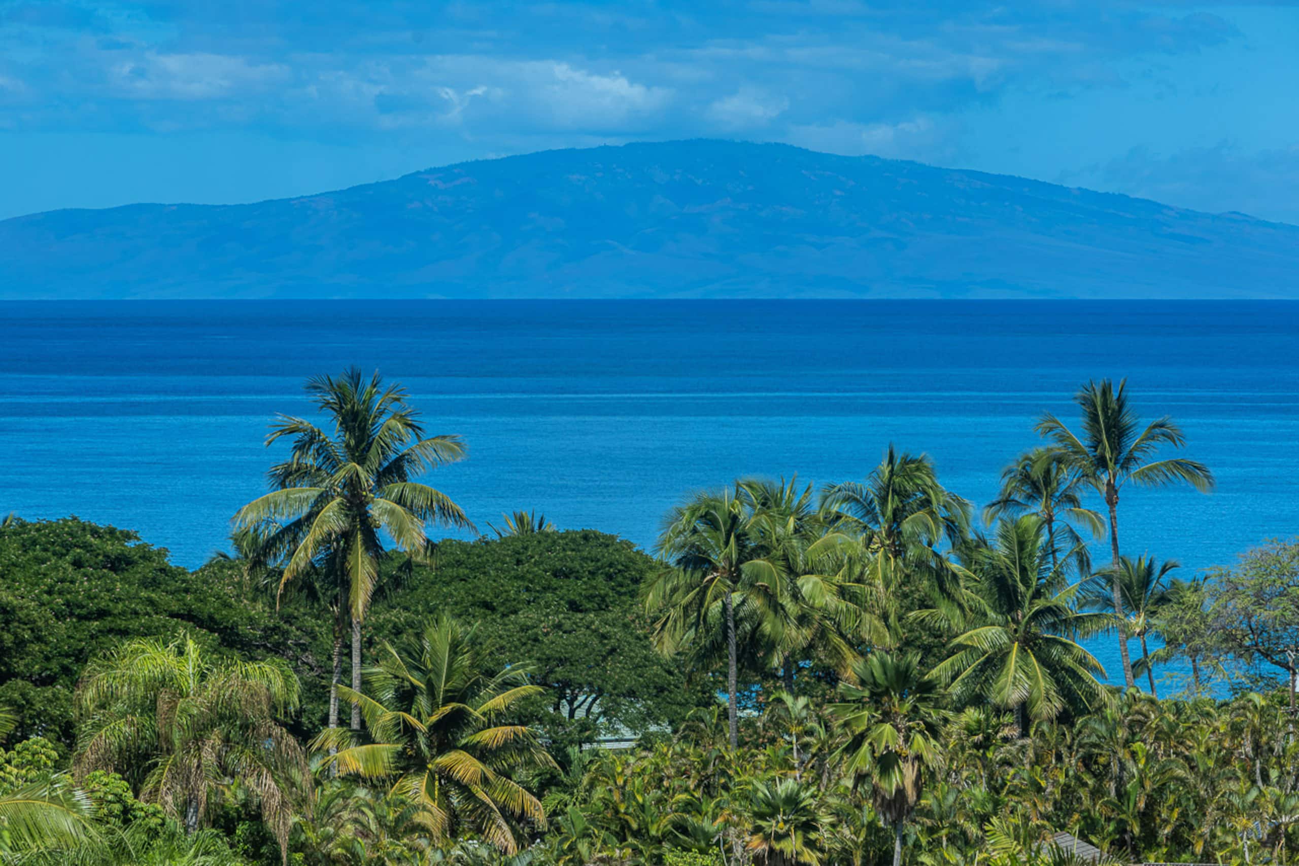 Townhouse in Kihei · ★4.97 · 2 bedrooms · 3 beds · 2 baths - Image 35