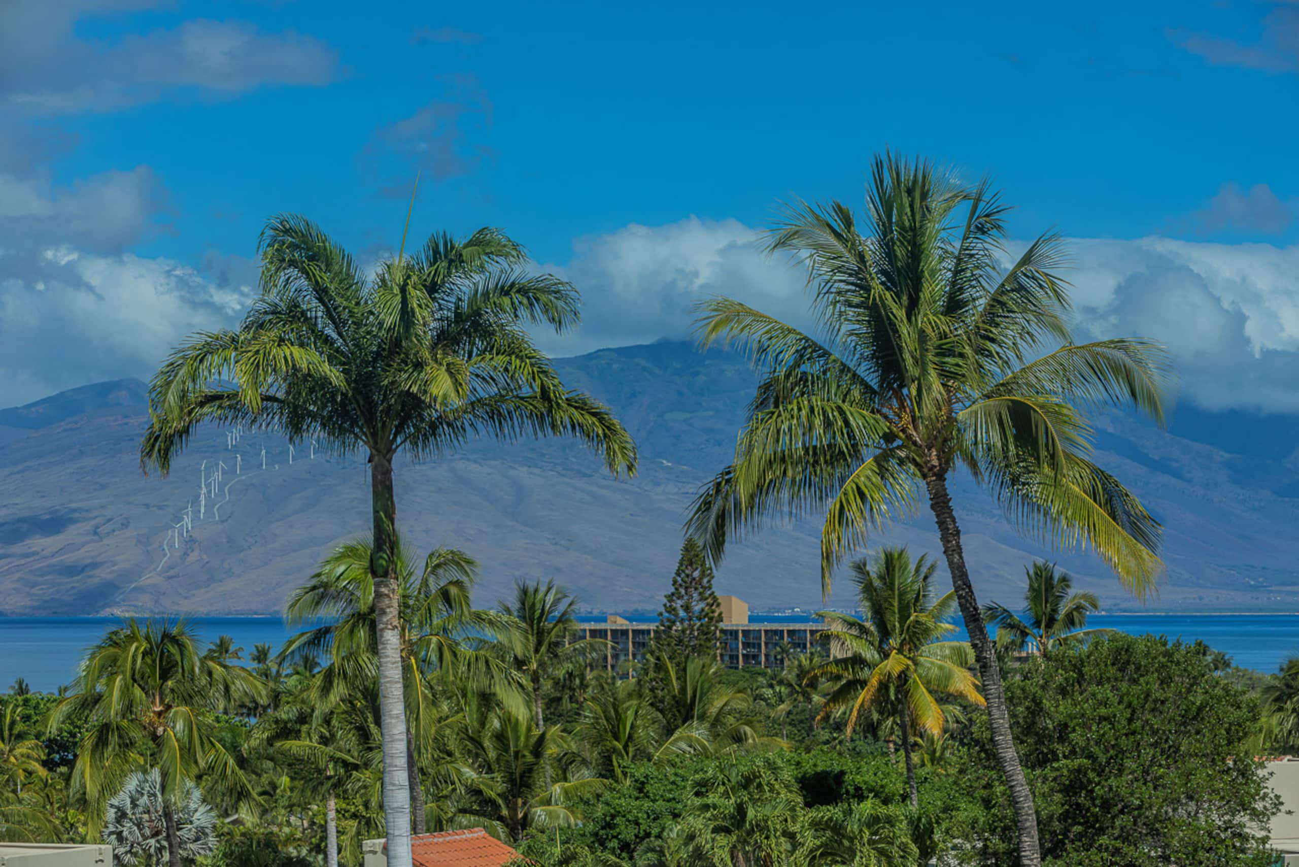 Townhouse in Kihei · ★4.97 · 2 bedrooms · 3 beds · 2 baths - Image 36