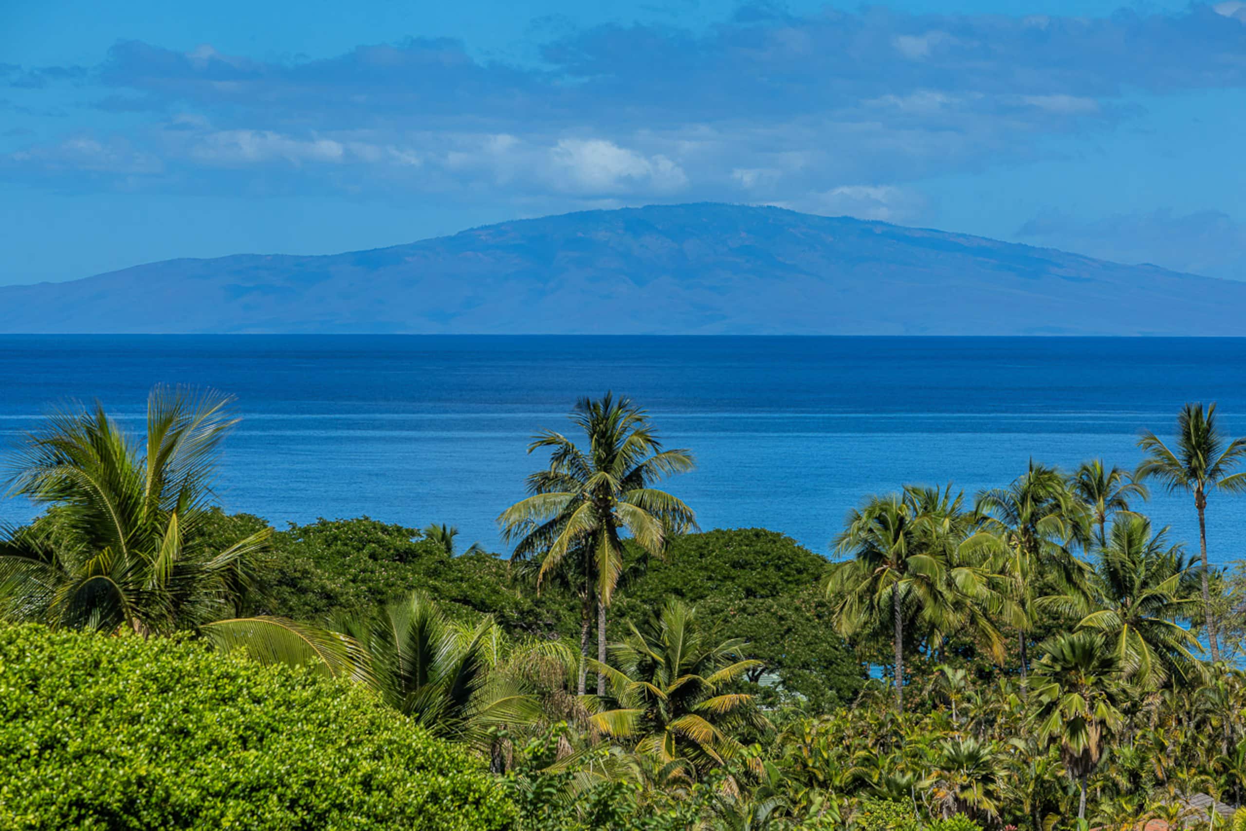 Townhouse in Kihei · ★4.97 · 2 bedrooms · 3 beds · 2 baths - Image 38