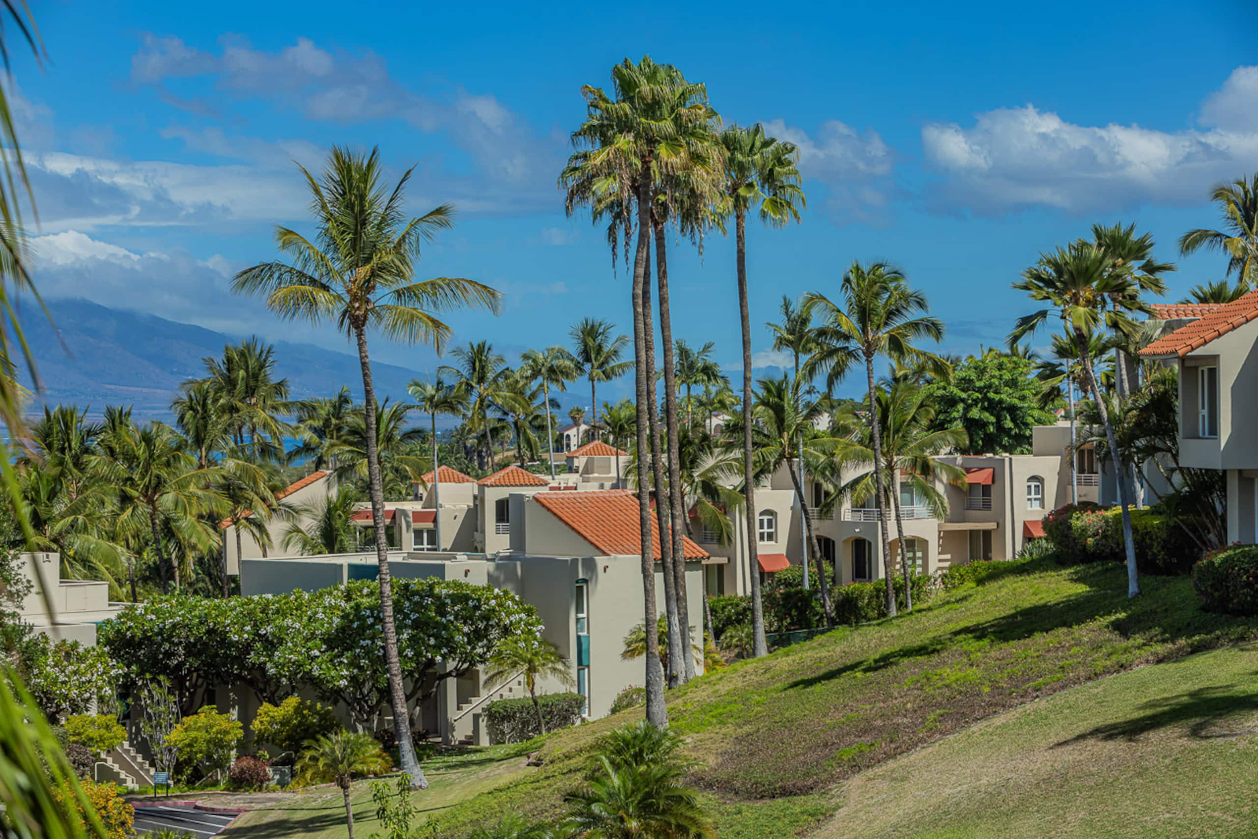 Townhouse in Kihei · ★4.97 · 2 bedrooms · 3 beds · 2 baths - Image 37