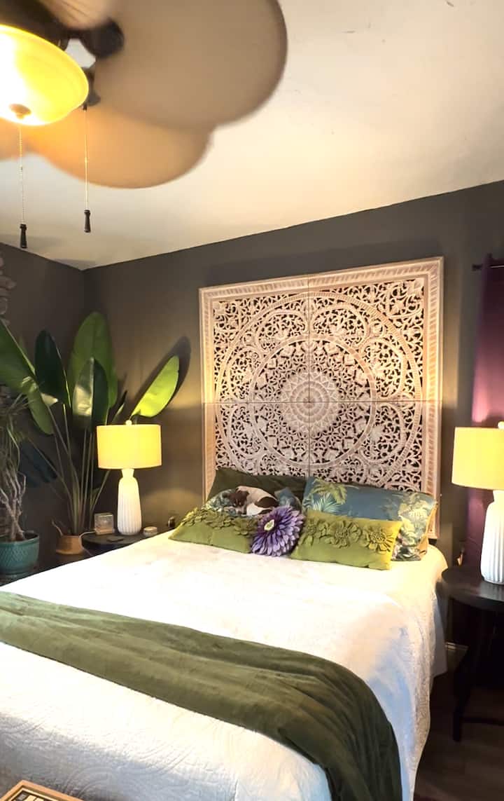 ძალიან კომფორტული სტუმრის ოთახი სამზარეულოსთან, საკუჭნაოსა და სააბაზანოსთან ერთად — სტუდიოს ტიპის ბინა. გვერდითი ეზო რამდენიმე საფეხურითაა ხელმისაწვდომი. ძაღლი ამ სურათს არ ეკუთვნის. 