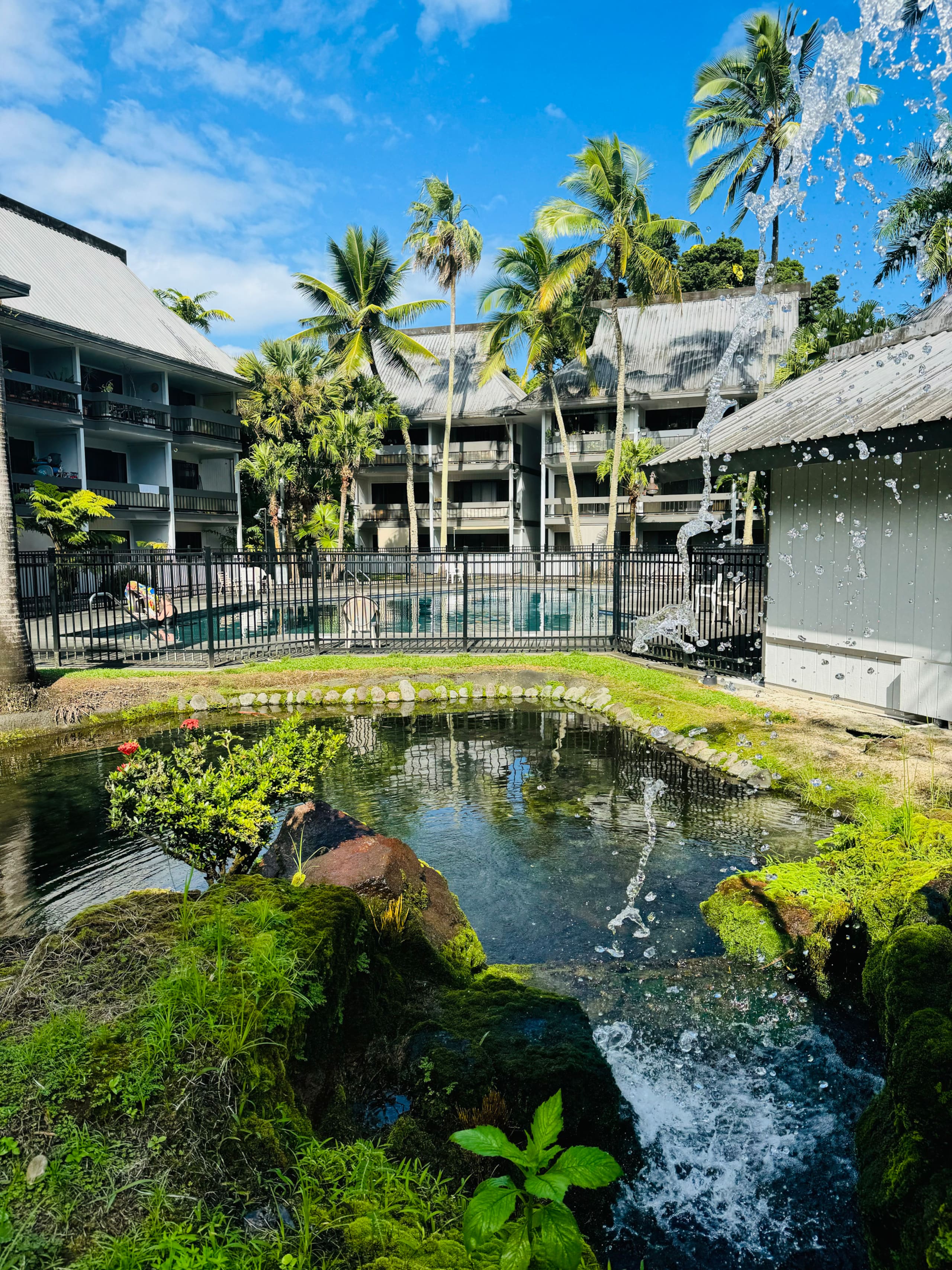 Condo in Hilo · ★4.6 · Studio · 1 bed · 1 private bath - Image 6