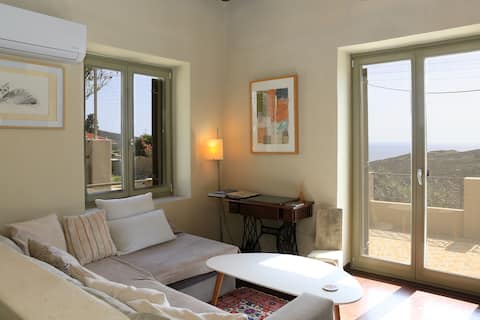 Successful Airbnb property: Foodies Cozy House-2B/R-Kitchen-A/C-Near Pithara in Δήμος Άνδρου