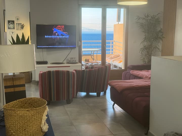 Vue Incroyable Face Mer, Maison 3 Ch, Patio,jardin - Port-Vendres