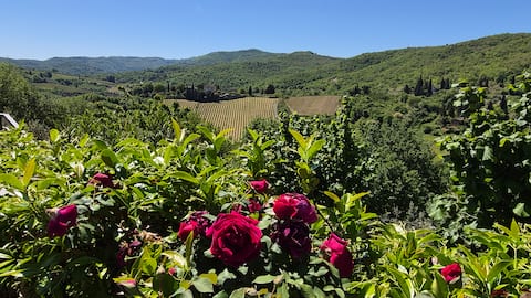 Top Airbnb: A small paradise in the wildest Chianti a Greve In Chianti