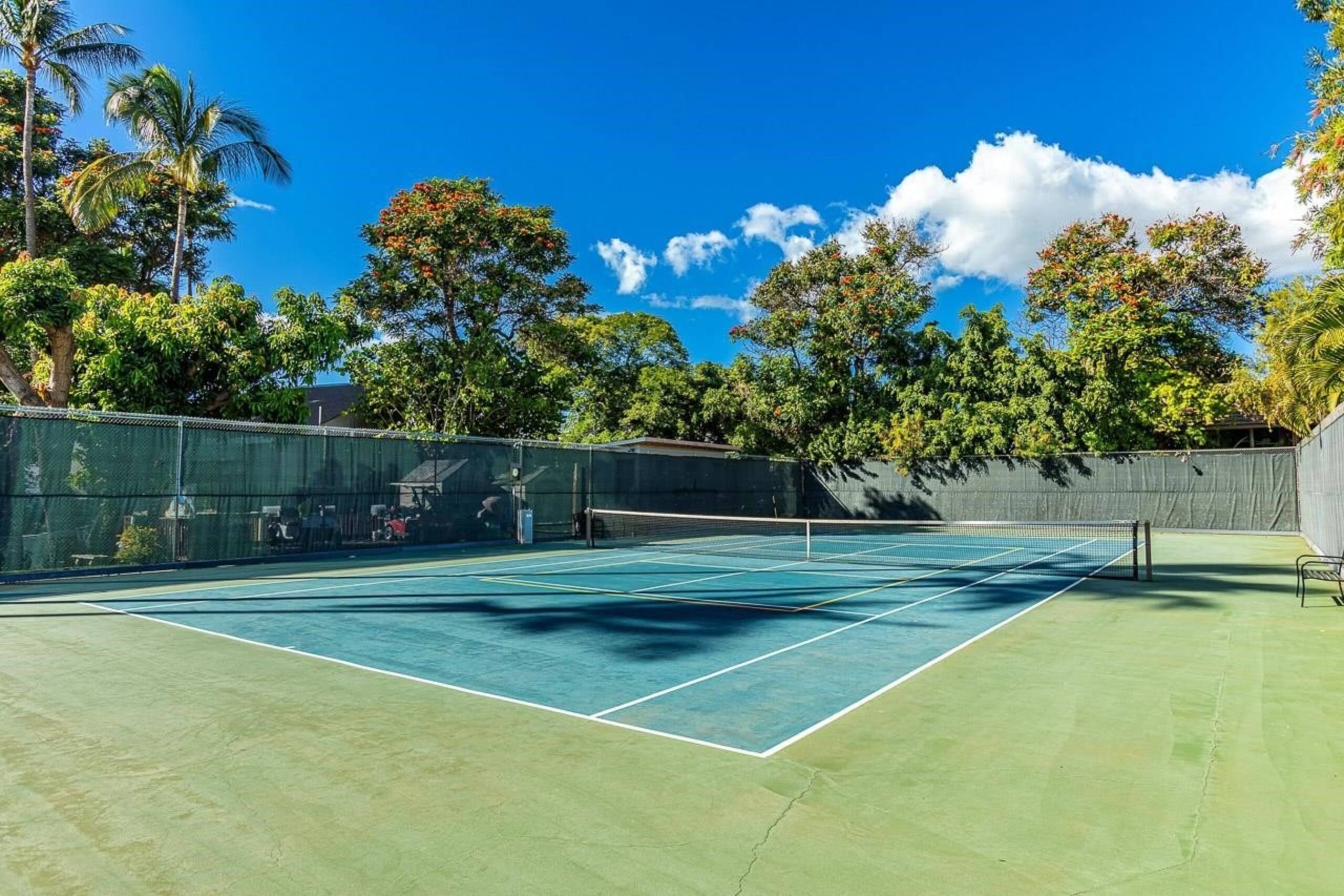 Condo in Kihei · ★4.91 · 1 bedroom · 1 bed · 1 private bath - Image 28
