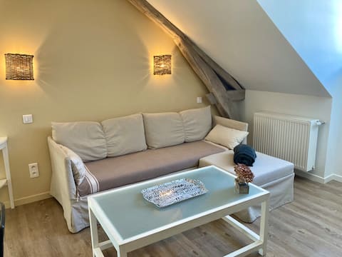 Annonce Airbnb populaire: Central-climatization-parking-court à Loiret