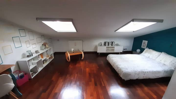 Podkrovná izba s vlastnou kúpeľňou a sprchovacím kútom + klimatizácia 