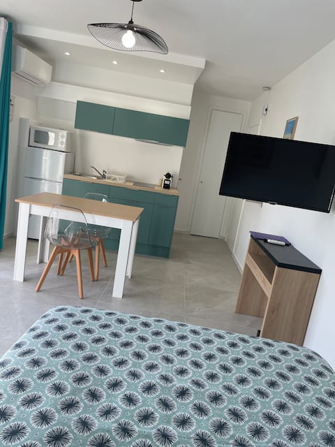 Successful Airbnb property: Quiet studio, Cannes center, parking, air conditioning, balcony in Cannes