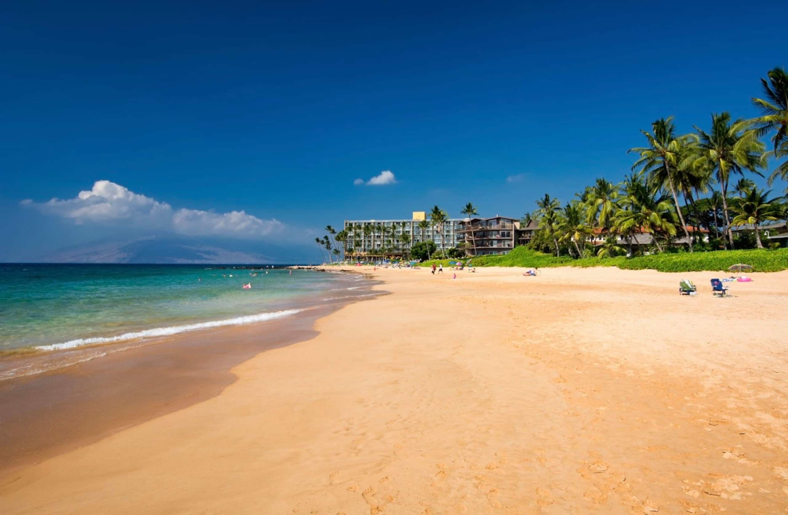 Newly Remodeled South Kihei Beach Retreat - Image 17